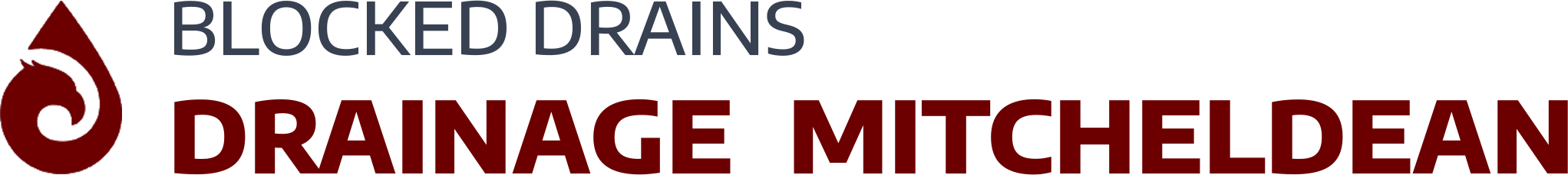 website logo